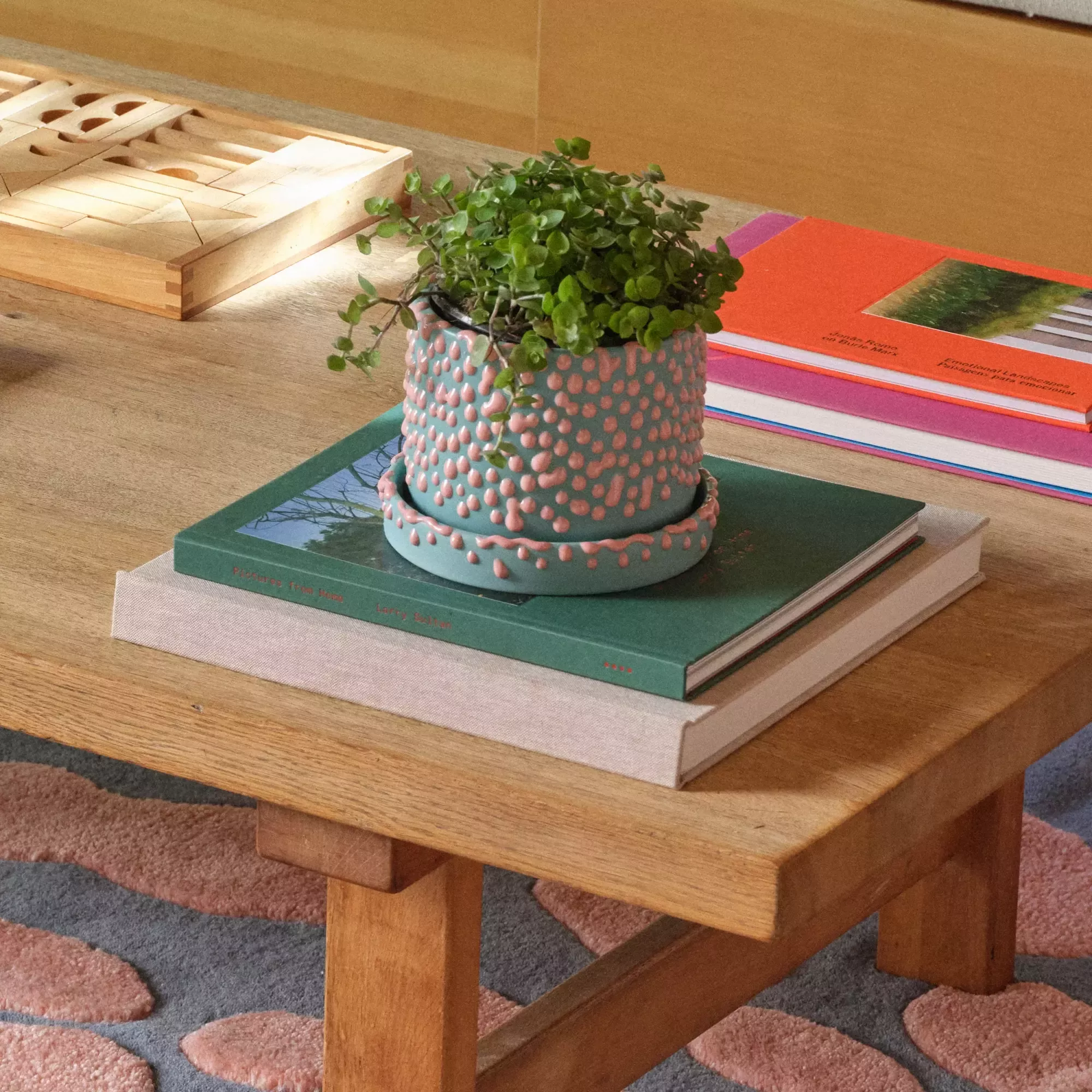 The Large Gloopy Planter