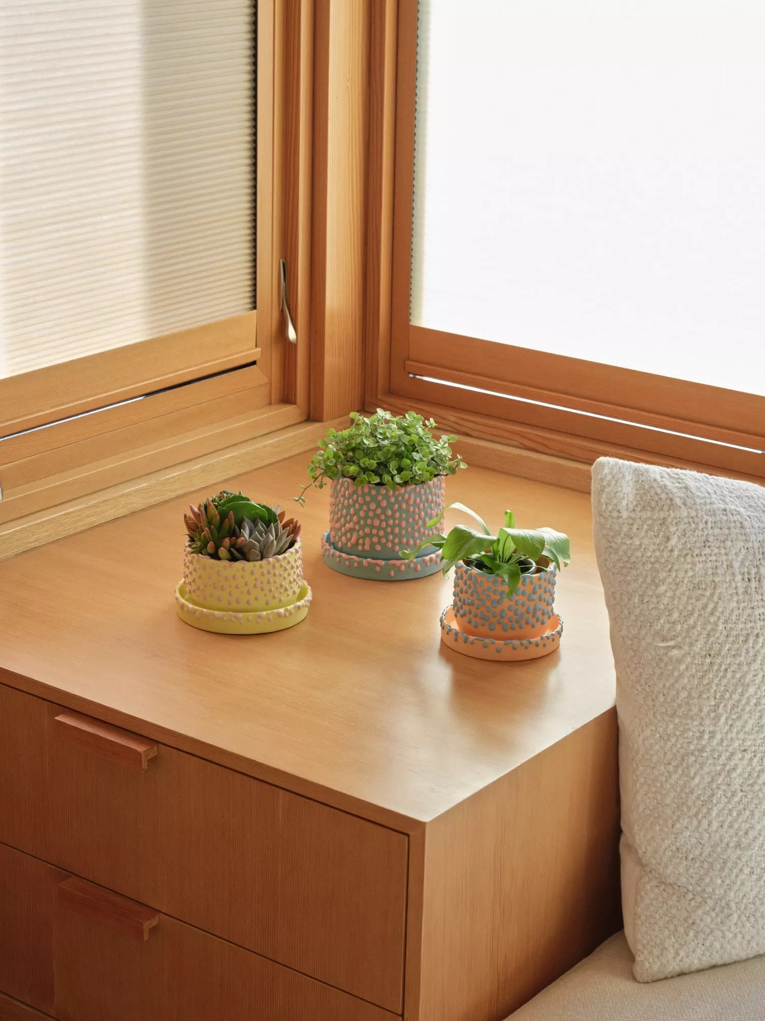 The Gloopy Planter Set