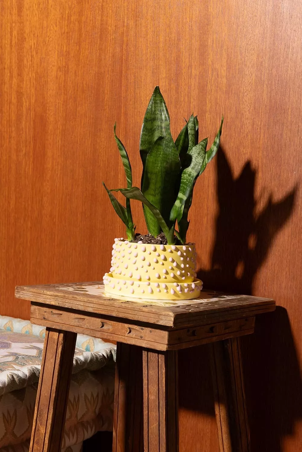 The Medium Gloopy Planter