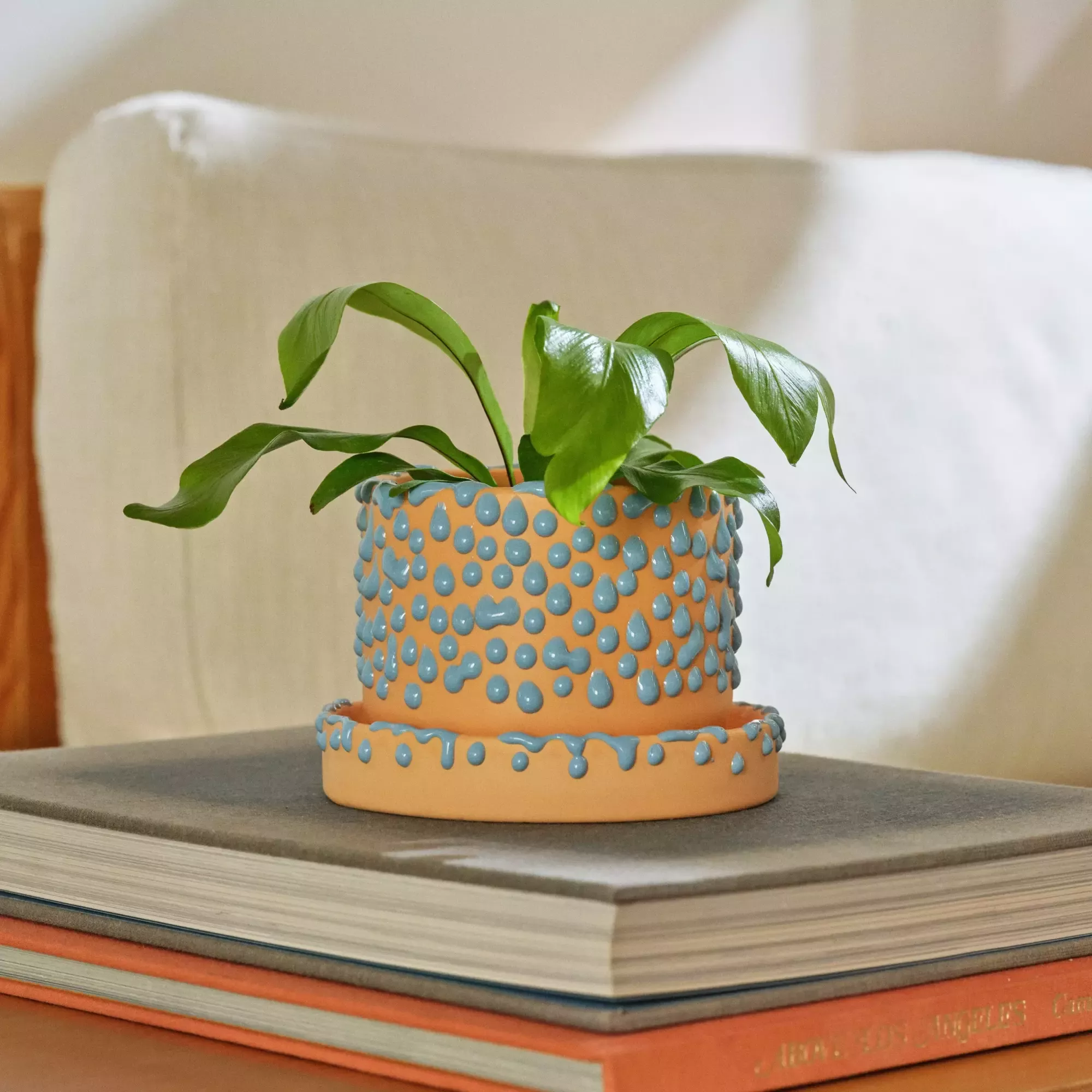 The Small Gloopy Planter